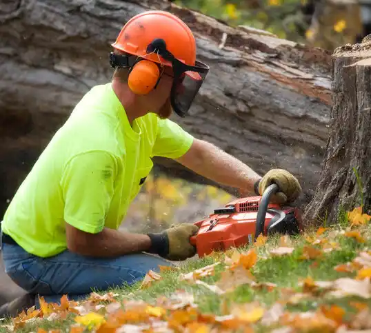 tree services Van Buren